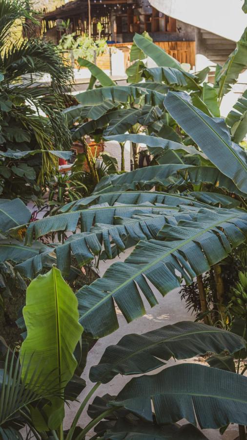 Xperience Tulum Hotel Exterior photo Banana leaves